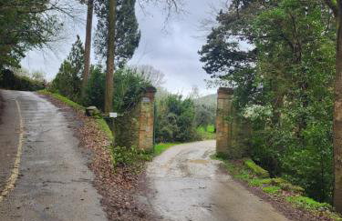 Villa Reame 500 a Meretto - Photo 30