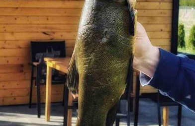 Zakątek na Mazurach I Kalinowo, Romoty - Foto 35