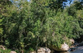 Casa Rudá Paraty - Foto 24