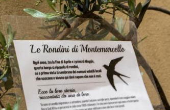 Olly Home Montemarcello - Foto 19