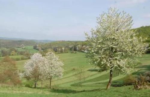 Holiday Home Landleben by Interhome - Foto 18