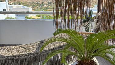 Black Velvet - Foto 2