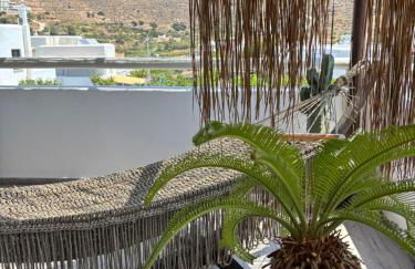 Black Velvet - Foto 2