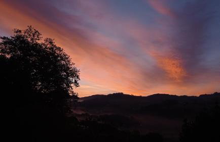 Balentziaga - Photo 31