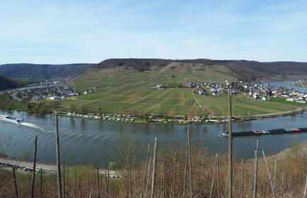Ferienwohnung Gerhard Lenz - Foto 42