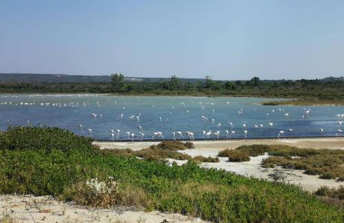 Capu Cilona - Foto 23