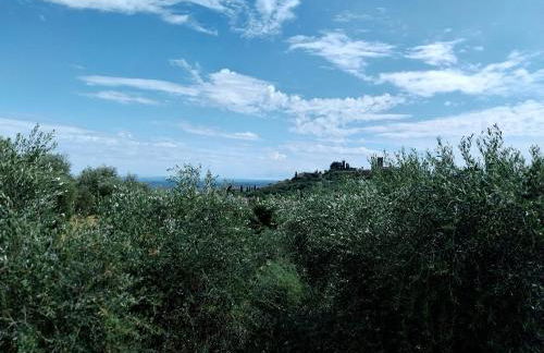 Il Fienile di Meretto - Foto 14