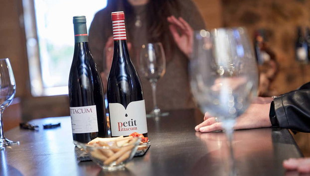 Pittacum Vineyards & Winery Visit - Photo 2, Attending a wine tasting