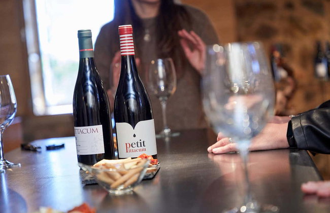 Visita a Viñedos y Bodegas Pittacum - Foto 2