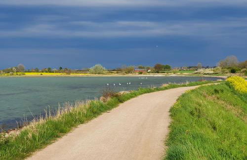 Ferienwohnung Bambuswald Ferienhof Geltinger Bucht - Foto 36