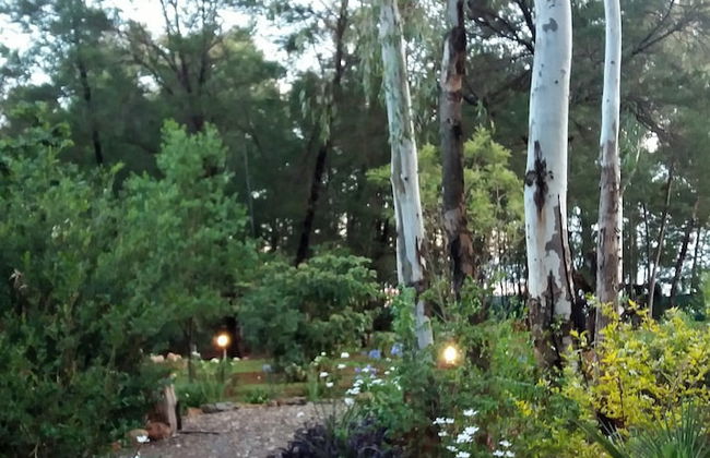 Woodland Gardens - Photo 69