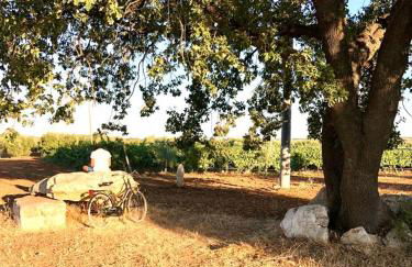 Casa vacanze - Castel del Monte - Foto 34