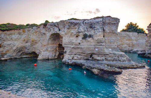 Masseria Bosco Mazza - Foto 43