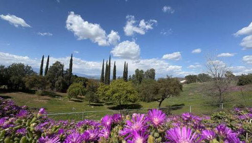 Riverside Views & Pool Retreat - Foto 3