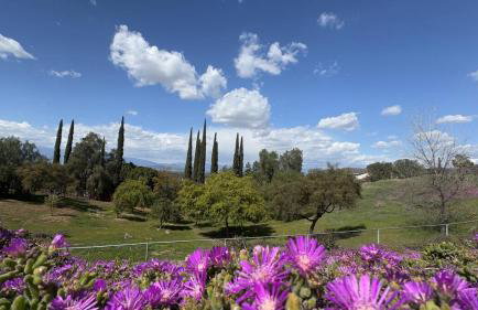 Riverside Views & Pool Retreat - Foto 3