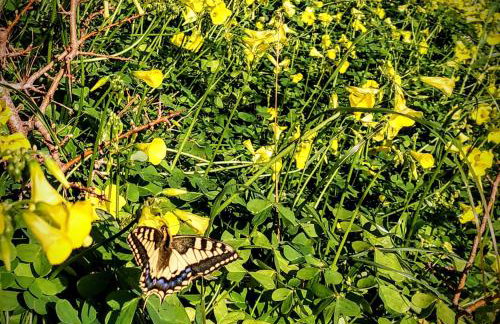 Suite of light rooms - Foto 44