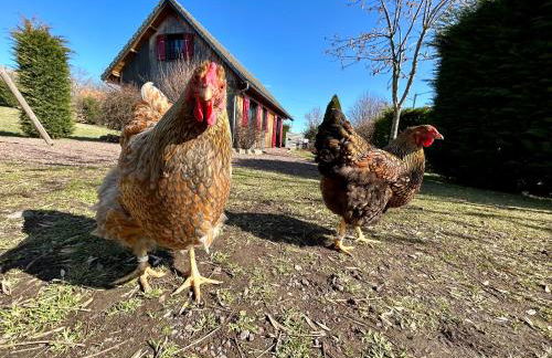 Le loti des Arnats - Foto 14