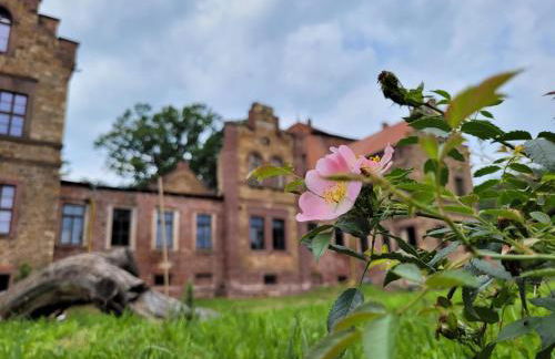 Urlaub auf dem Rittergut Friedeburg - mit direkter Nähe zur Saale - Foto 22