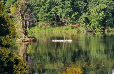 Aconchego da Juju - Foto 18