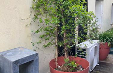 Proche grotte de Matata - Foto 21