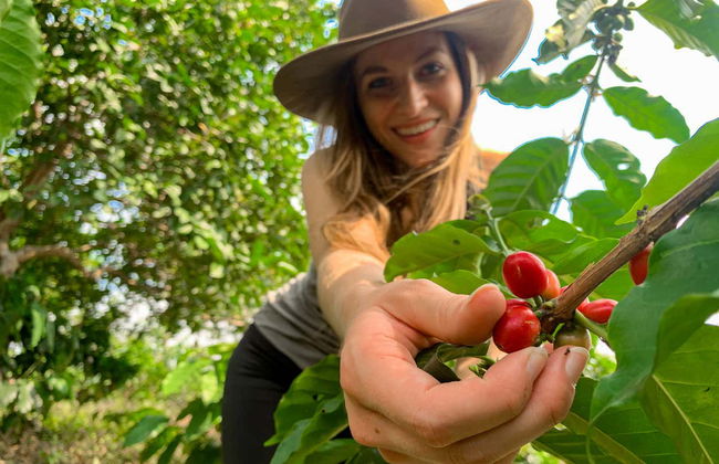 Lejanías Coffee Tour - Photo 1