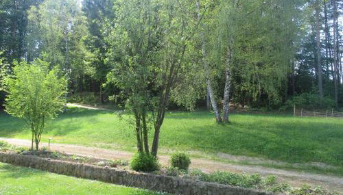 Ferienwohnung/ Ferienresidenze Manuela - Foto 5, Garden view