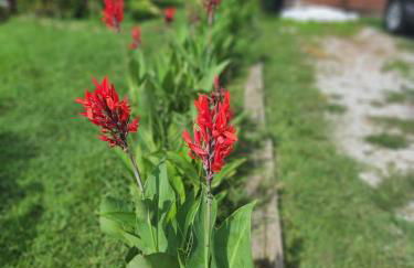 The BrickHouse on Grace - Foto 33