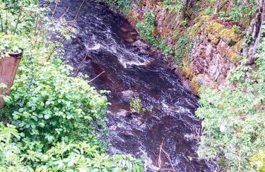 Heaven's Cottage - Foto 30