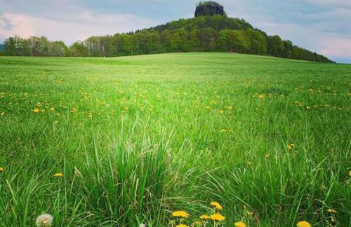 Ferienhaus Blumenwiese - Foto 10