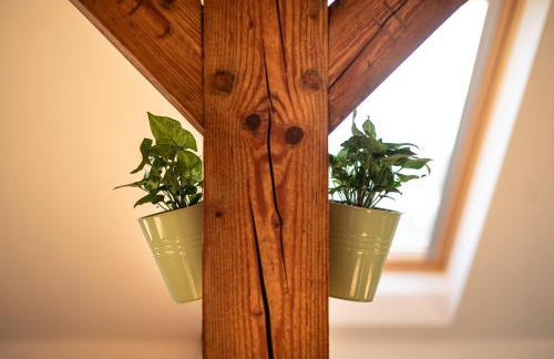 Apartament Pod Bukowym Lasem - Foto 13