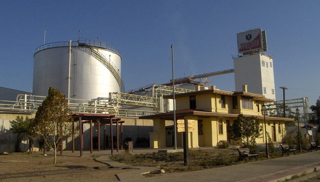 Tecate - Private Tour - Photo 2