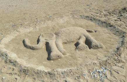 360 Panorama House - Gazing at Horizon and the Stars of the Galaxy in the night - Fresh Cool breeze most of the time - just 7 min from the beach - Foto 53