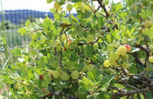 Landhaus Almyssen - Foto 41