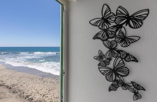 Buganvilla - Foto 20