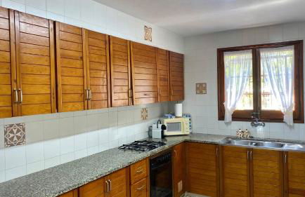 Les oliveres de l'Empordà - Foto 7