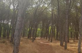 Residenza Bottego Mare - Foto 50