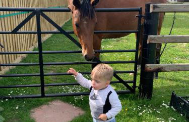 The Paddocks - Spacious annexe with rural outlook. - Foto 28