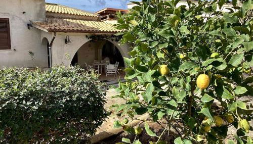 Villa Silvana - Foto 2