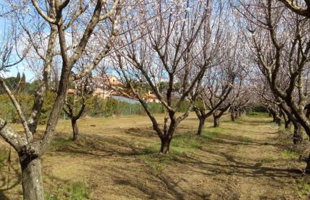 Villa Mandrioli Agriturismo - Foto 66