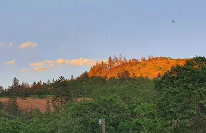 Cozy Cabin, near Mosier and Hood River - Foto 16