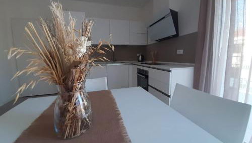 Ca' Savio terramare - Foto 5