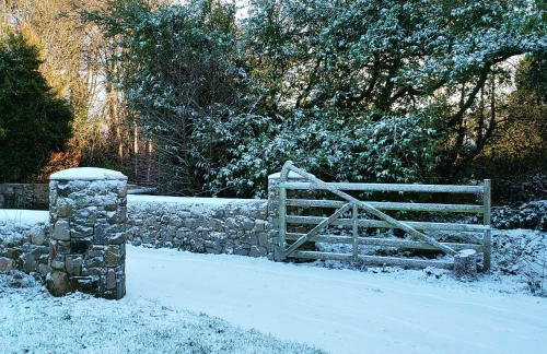 Bryansford Cottage Stables - Foto 15