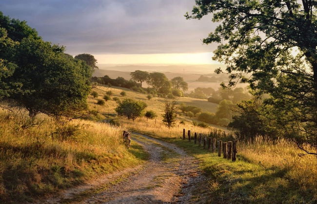 1 Country House Game Room BBQ Near Nashville TA - Foto 39