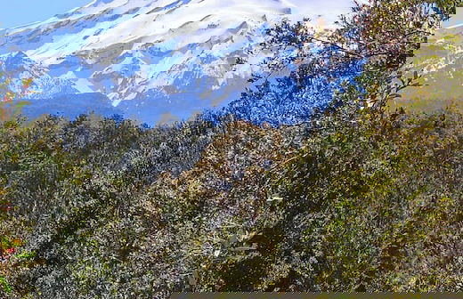 Outscape Lago Chapo - Foto 16