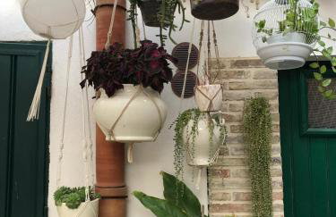 Cortile Suez - Foto 7