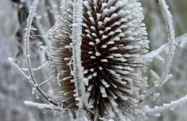 Panorama-Auszeit in Trierweiler - Foto 39