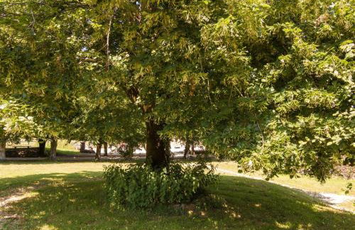 Romantic Stay in a Medieval Castle With Pool and Restaurant Among Others - Foto 50