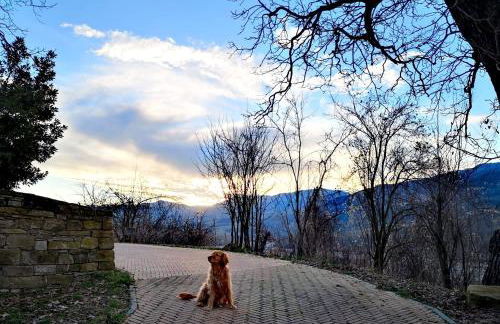 Agriturismo Il Salice - Photo 9