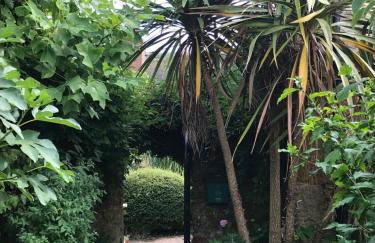 The Burrow - Photo 31