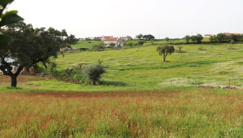 C M Casa de Mares Alojamento Local - Foto 5